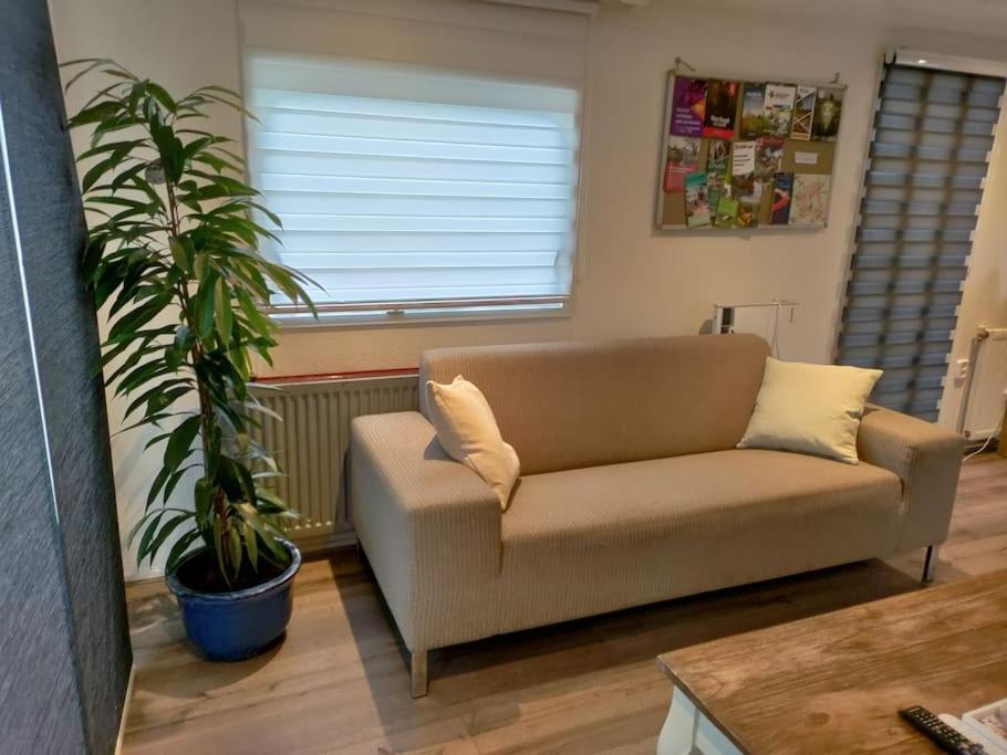 Chalet Midden In De Natuur! Anloo Экстерьер фото