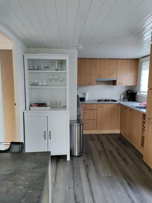 Chalet Midden In De Natuur! Anloo Экстерьер фото