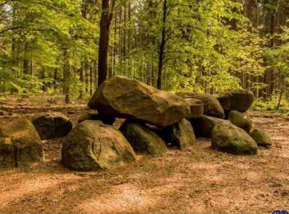 Chalet Midden In De Natuur! Anloo Экстерьер фото